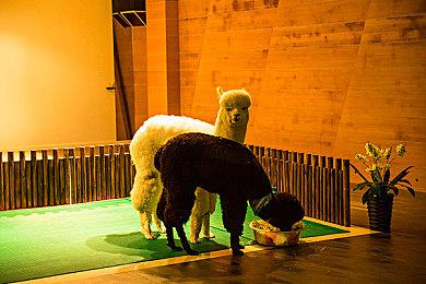 传闻：《对马岛之鬼2》或将拥有多人游戏模式